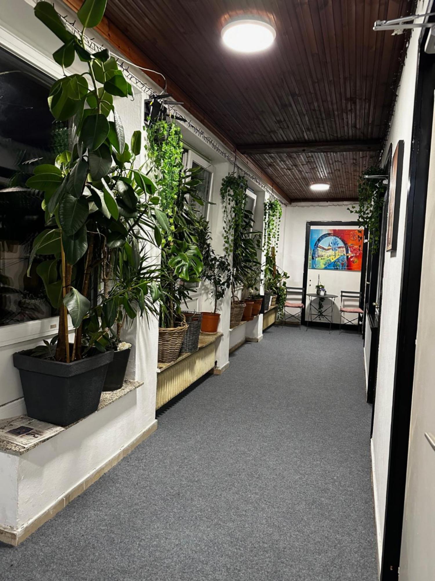 Hostel Lovely Rooms, City Center, Shared Bathroom, Windows To Corridor Villach Eksteriør billede