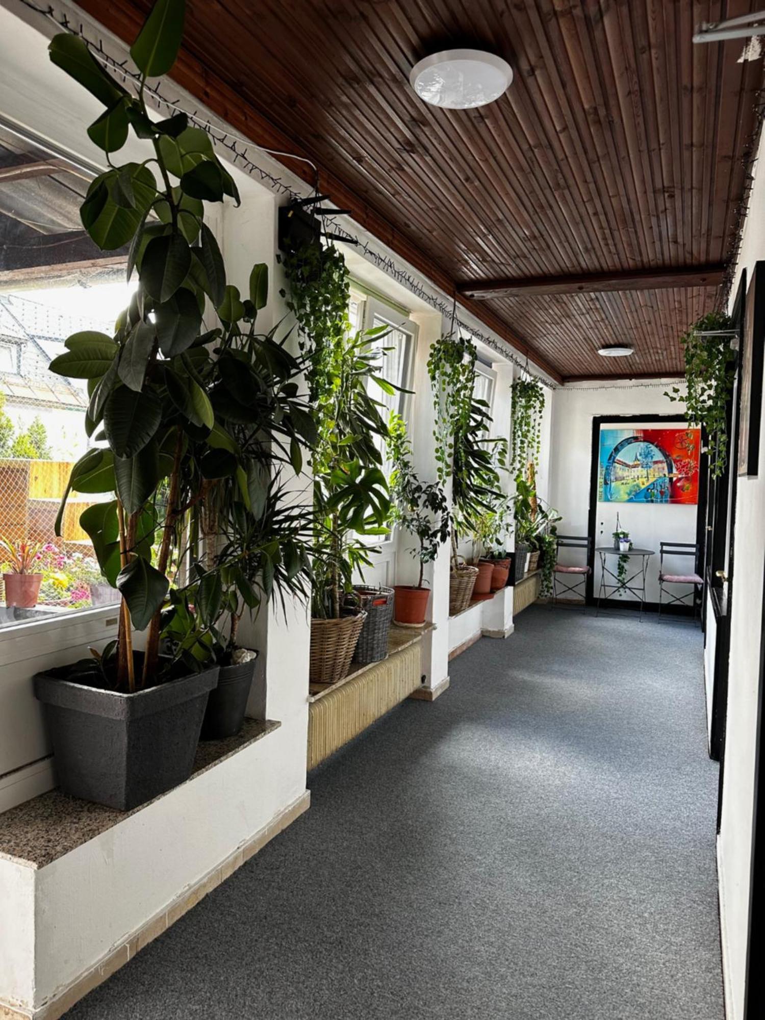 Hostel Lovely Rooms, City Center, Shared Bathroom, Windows To Corridor Villach Eksteriør billede